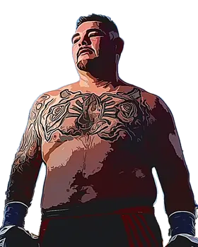 Andy Ruiz Jr Boxrec record link & bouts